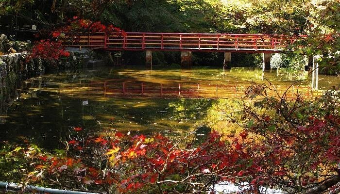 🏞️ 이와야도 공원 (이와야도코엔) 이미지 3